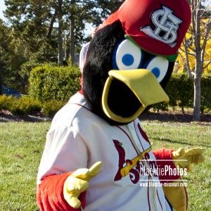 fredbird plush