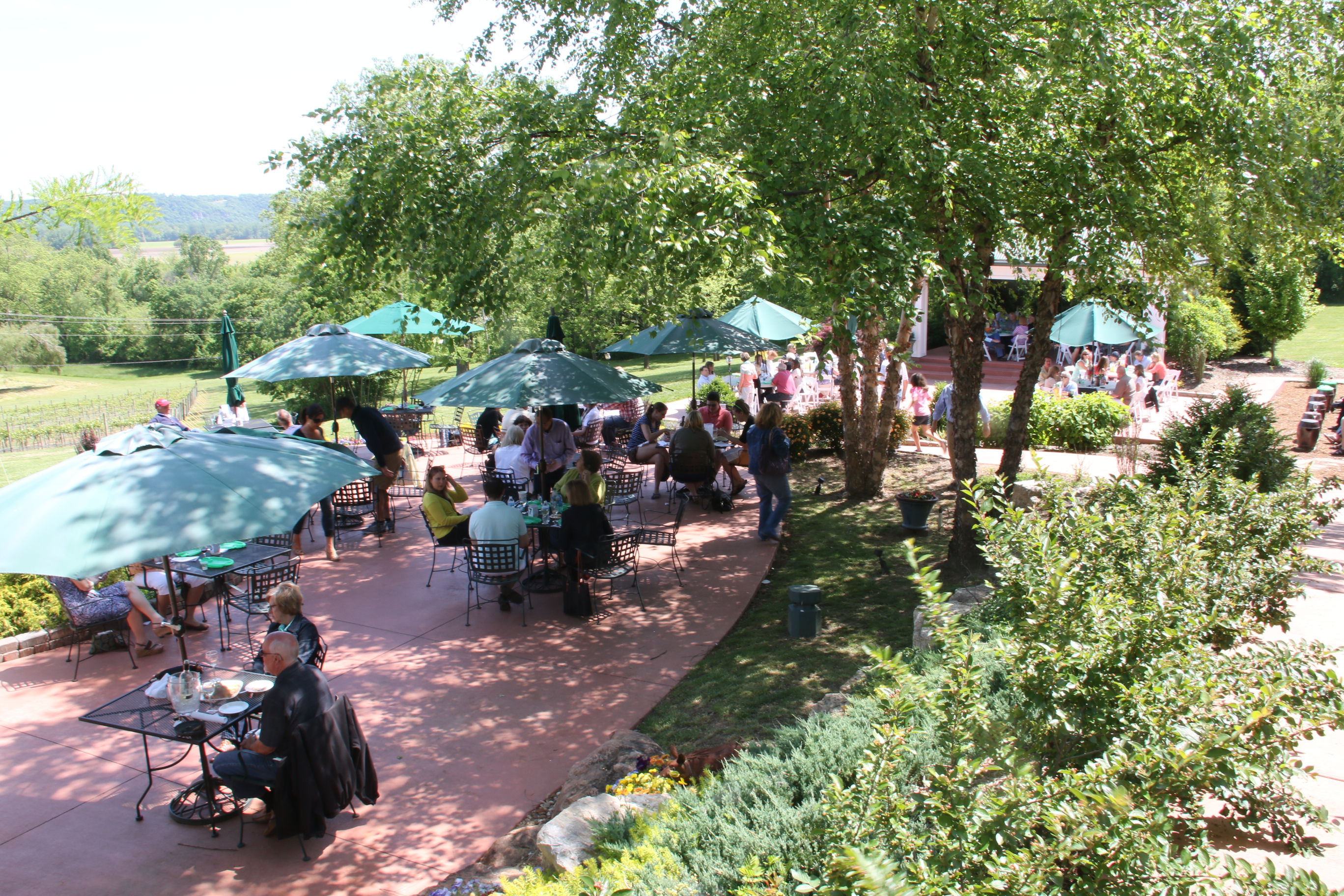Wine Country Gardens Patio