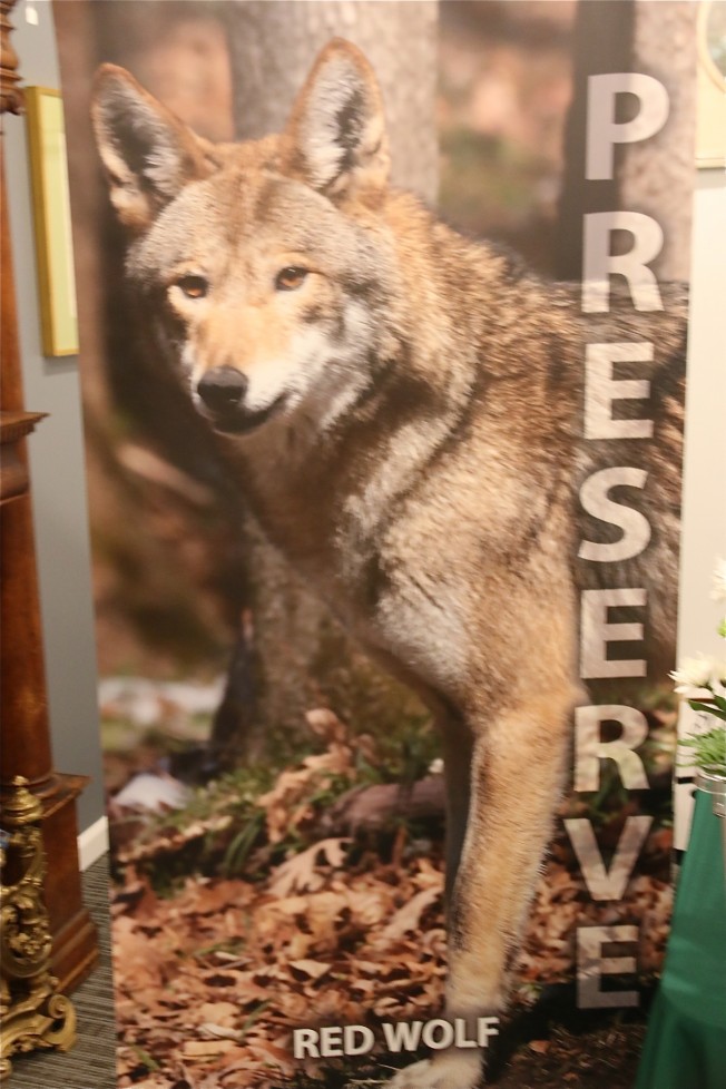 Stars of the Wolf Sanctuary